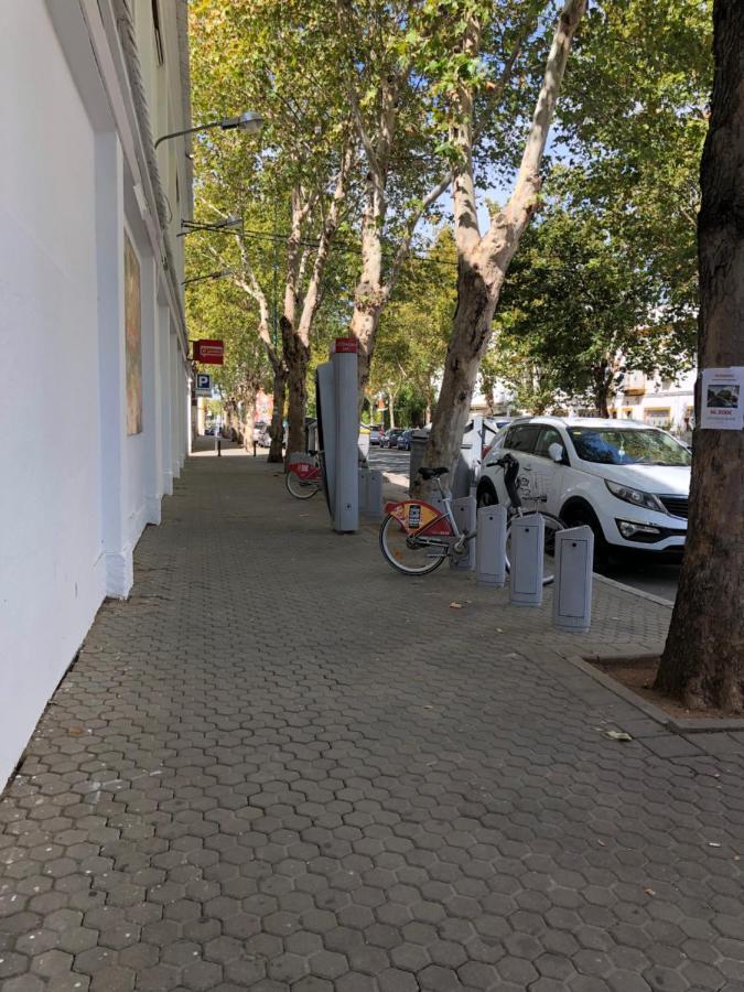 Apartamento 1 Dormitorio Y Salon Con Sofa Cama Bien Comunicado Con El Centro Sevilla Eksteriør bilde